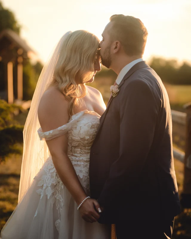 Golden hour wedding photo of groom kissing bride outdoors in Toronto