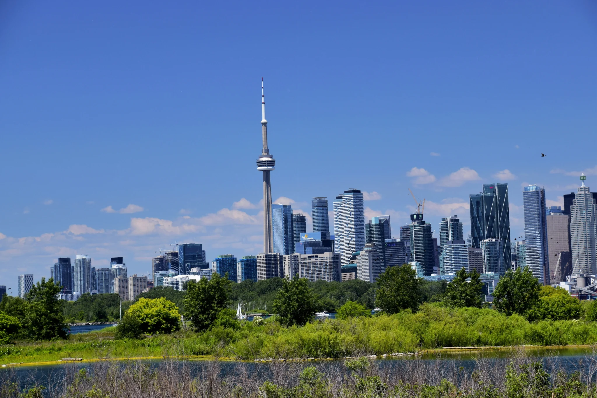 Tommy Thompson Park,