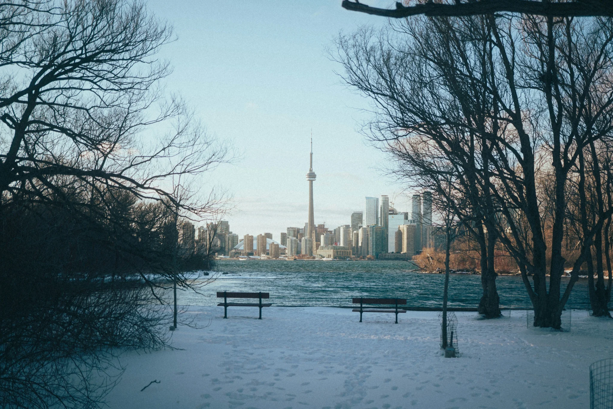 Toronto Island in Winter
