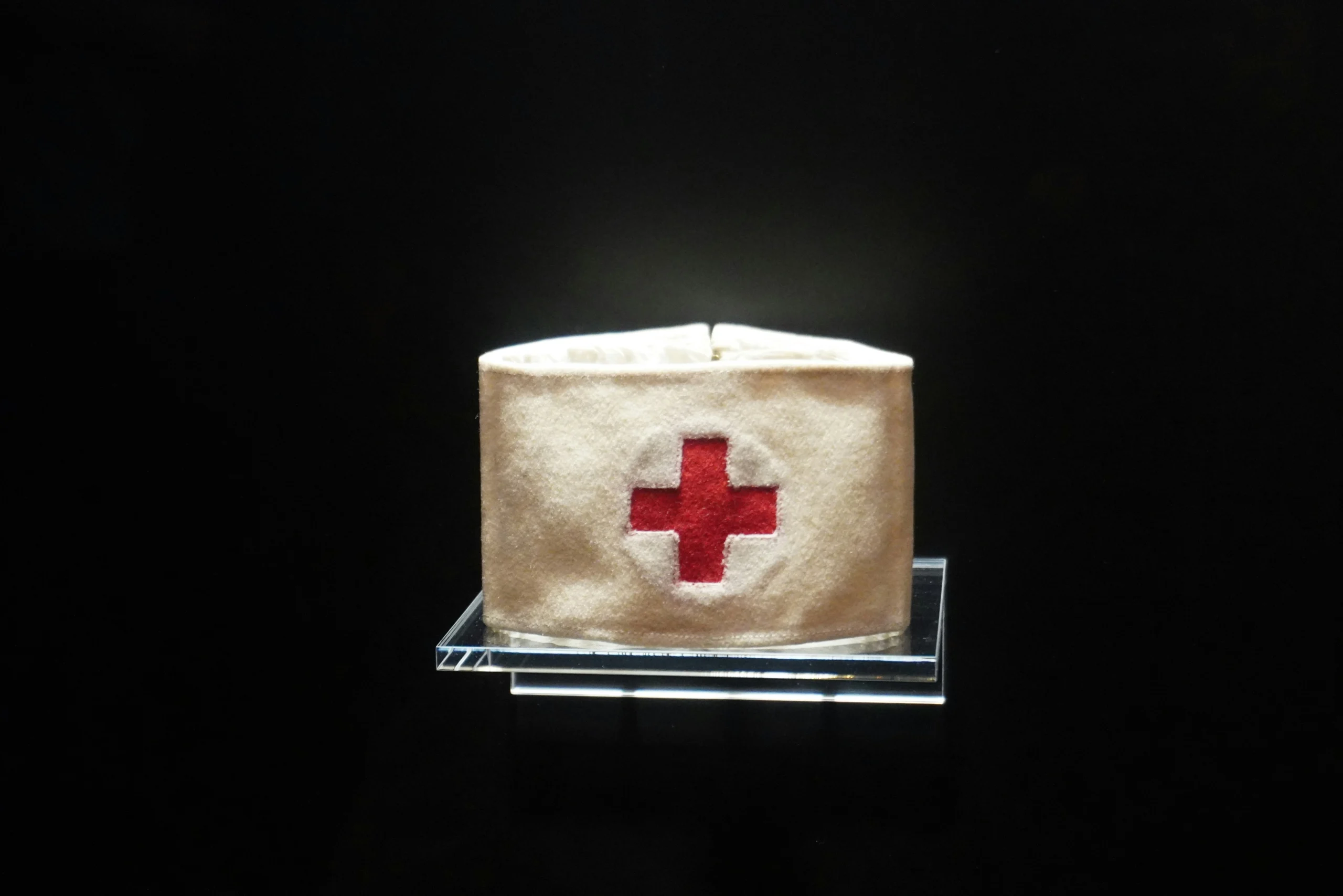 Health and First Aid Basics