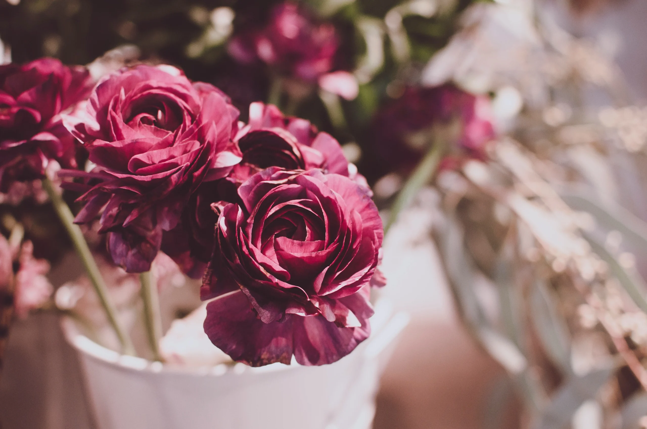 Botany Floral Studio